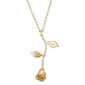 💎 14K Gold Plated Beautiful Flower Necklace for Women, EVGG1087
